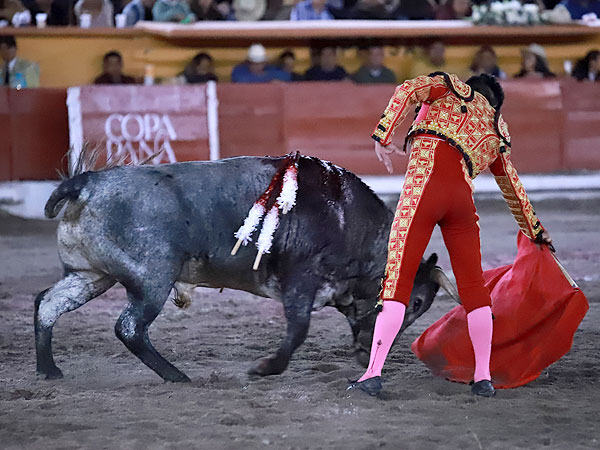 Templando