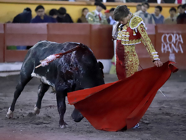 Embrujado en el vuelo