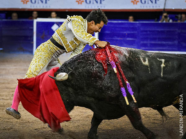 Fulminado, al segundo intento