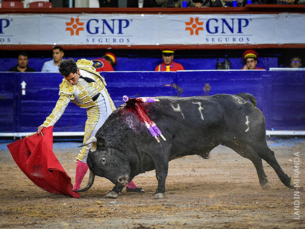 En el gusto de la afici�n