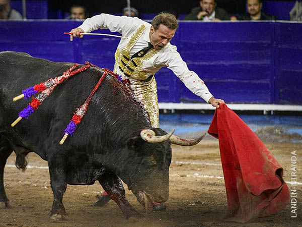 Faena recia del hispano