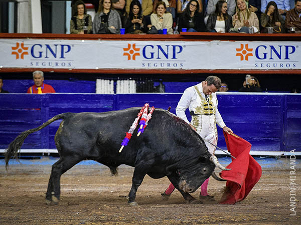 Reposo de maestro