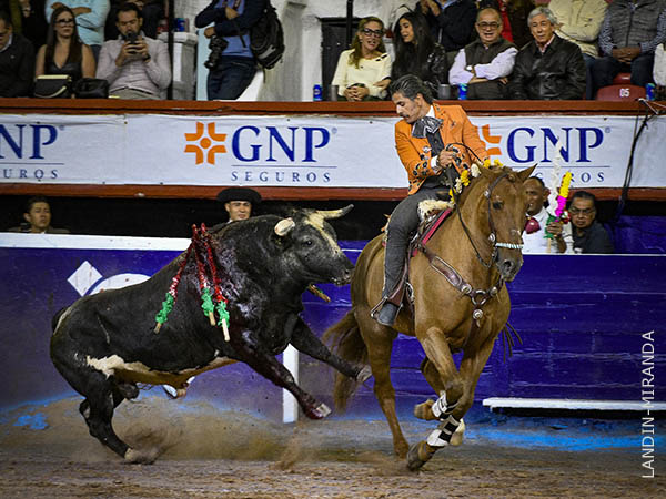 Rebrinco del jir�n