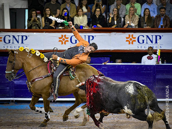 El viol�n del caballista