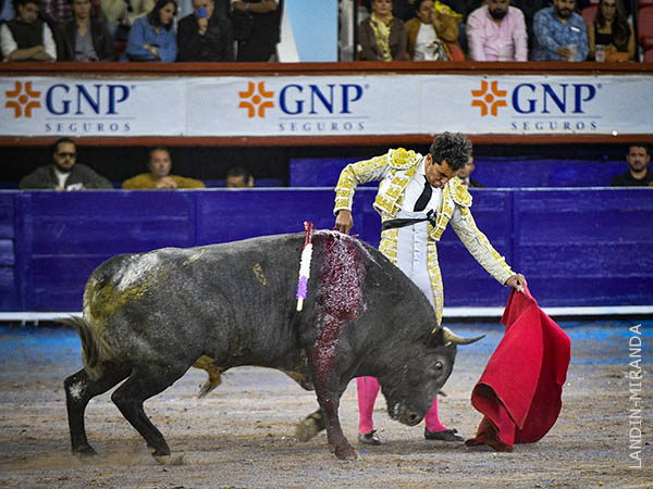 Templando al c�rdeno