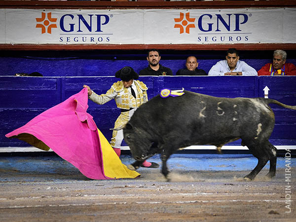 Leo, saludo a una mano