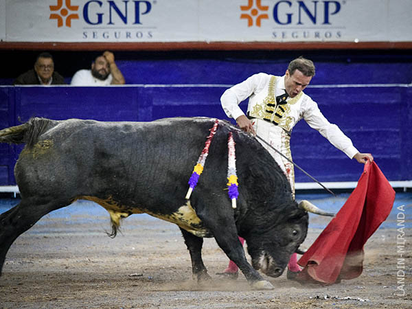 A seguir toreando