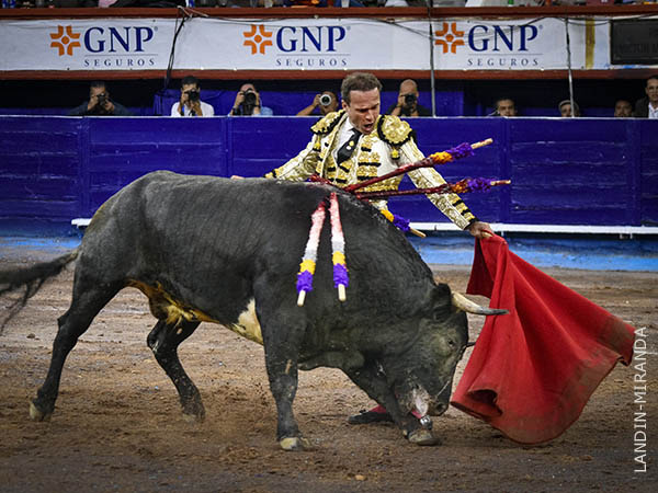 La izquierda de Ferrera