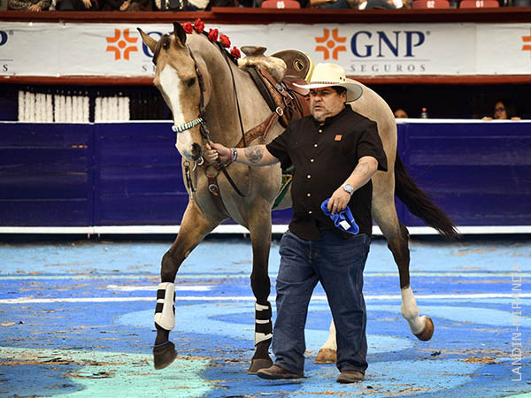 Carlo Santoscoy, con 