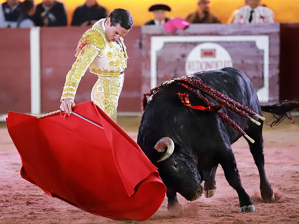 Empaque de maestro