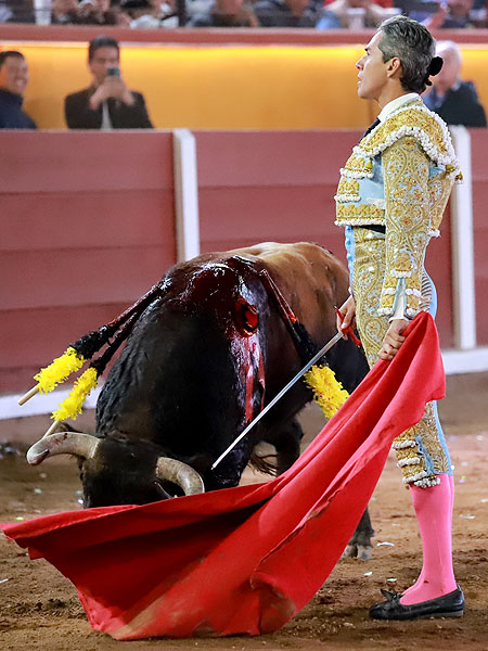 Estoico