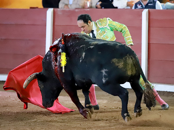 Meti�ndolo en la muleta