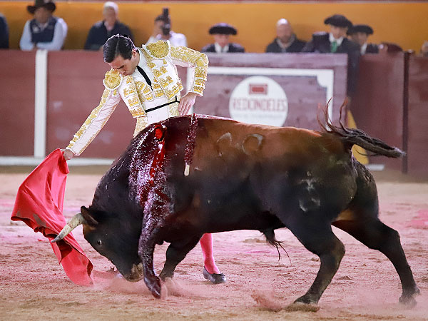 Calidad en la embestida