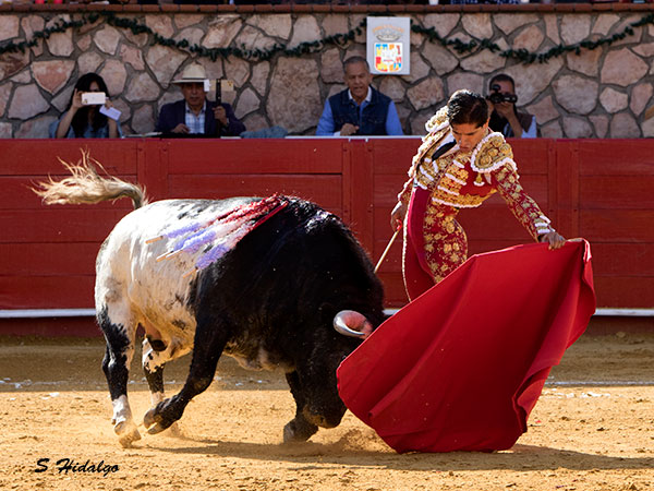 Consintiendo