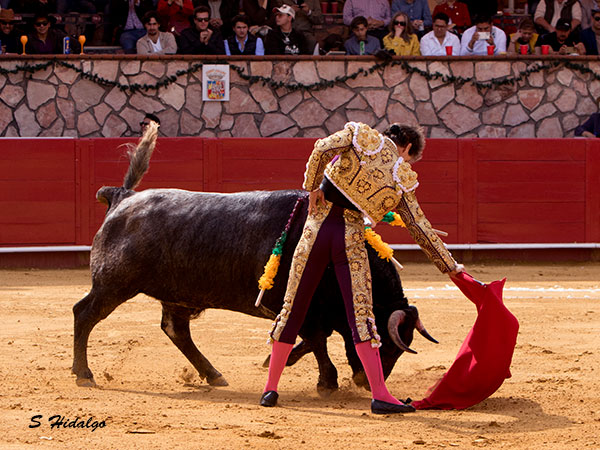 Bajando el enga�o