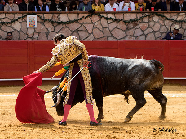 Entregado