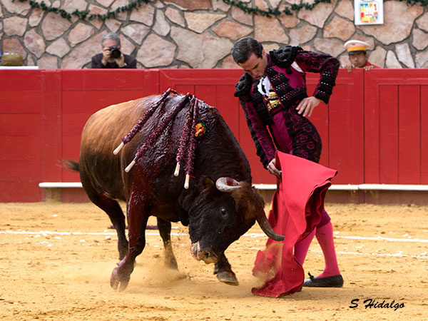 Trincherilla