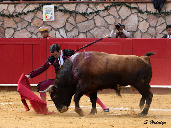 Sentimiento