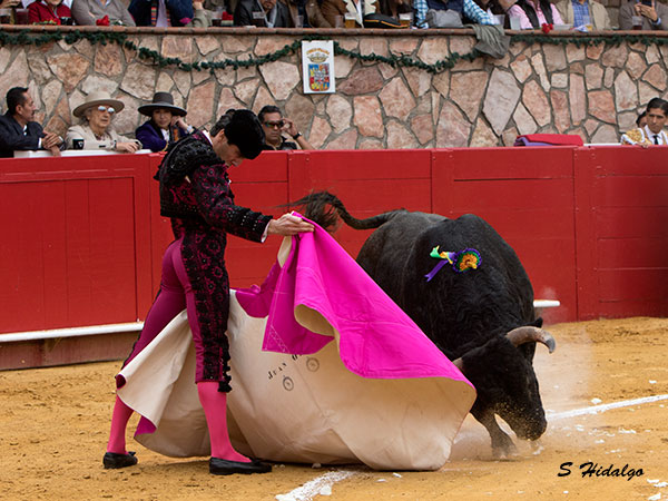 Saludando