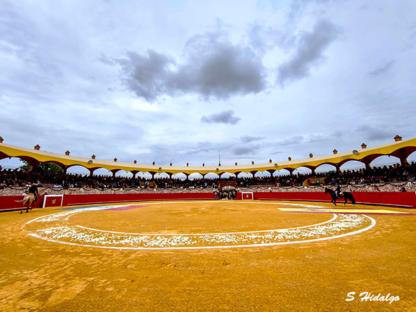Majestuoso escenario