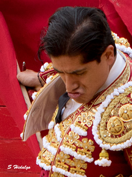 Luis David