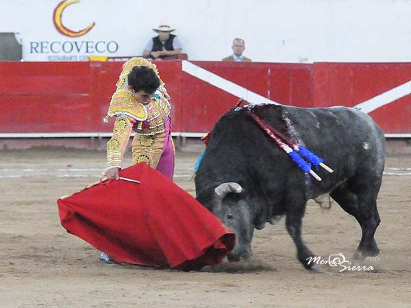 Una gran serie por el derecho