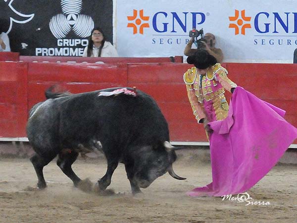 Fonseca, ante el sexto