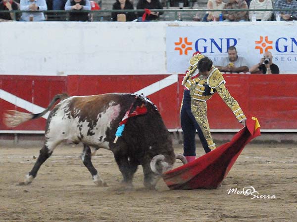 El izquierdo del berrendo