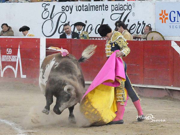 Fortes, saludo por ver�nicas