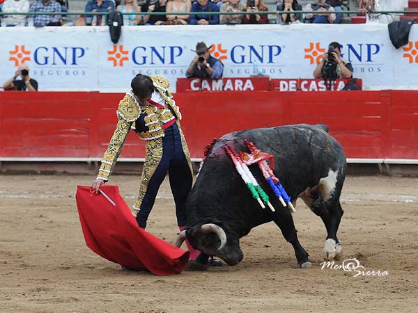 Humillado en la embestida
