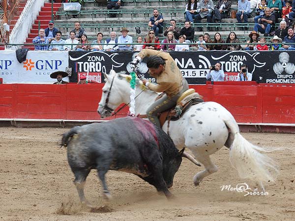 Viol�n al final de la faena