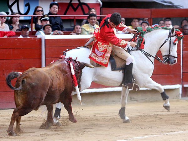 Consintiendo al toro
