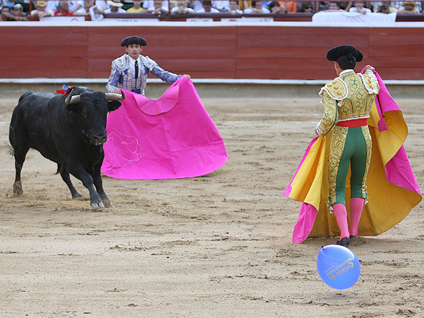 El toro siguiendo otro 