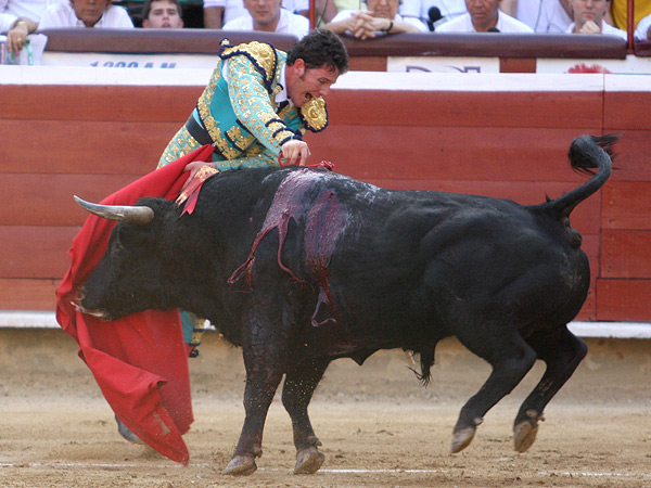 Un estocada habilidosa