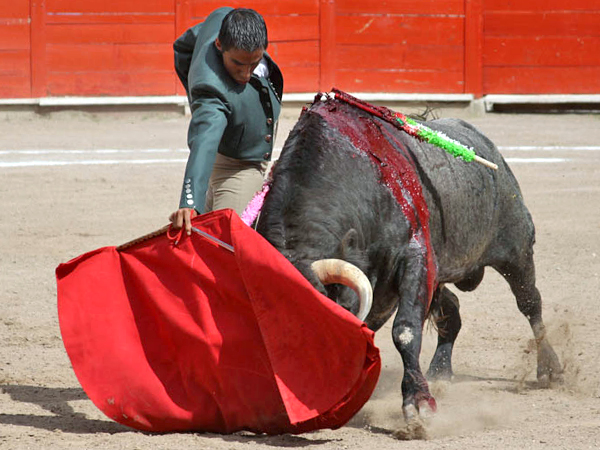 Magn�fico muletazo