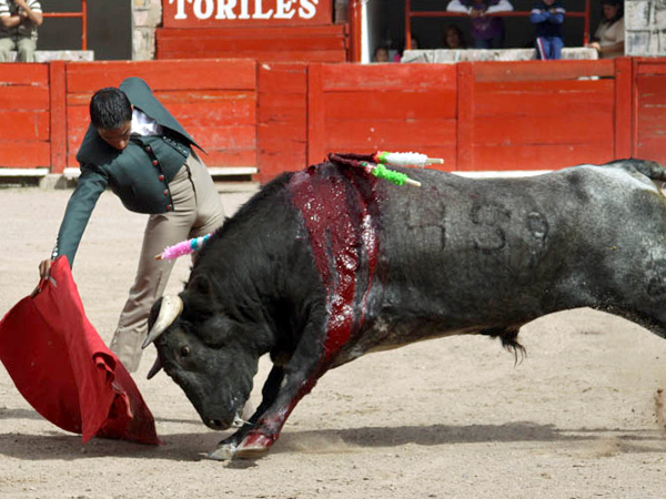 El de Boquilla embest�a con emoci�n