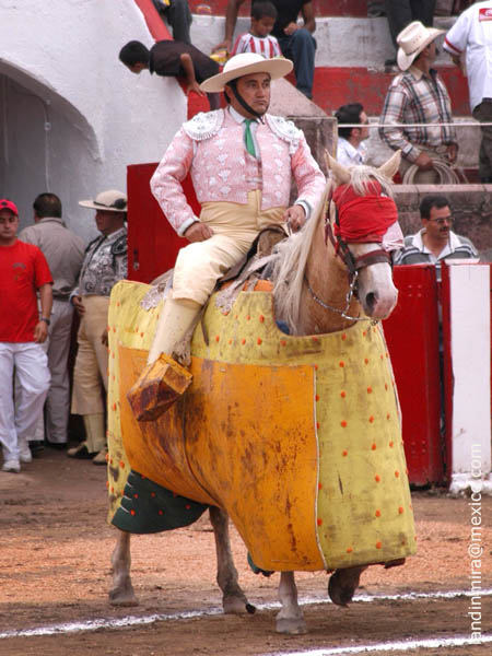 San Miguel el Alto 2004