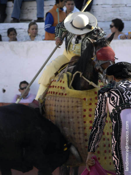 En su paso por los ca�ones