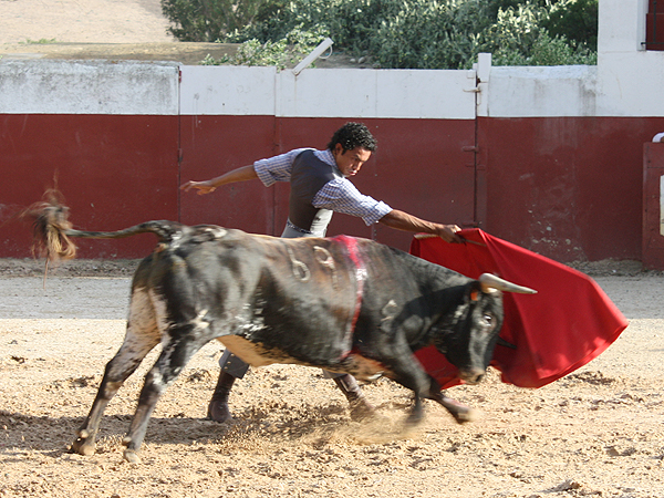 Llev�ndolo muy largo