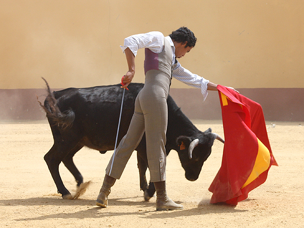 Excelentes procedimientos
