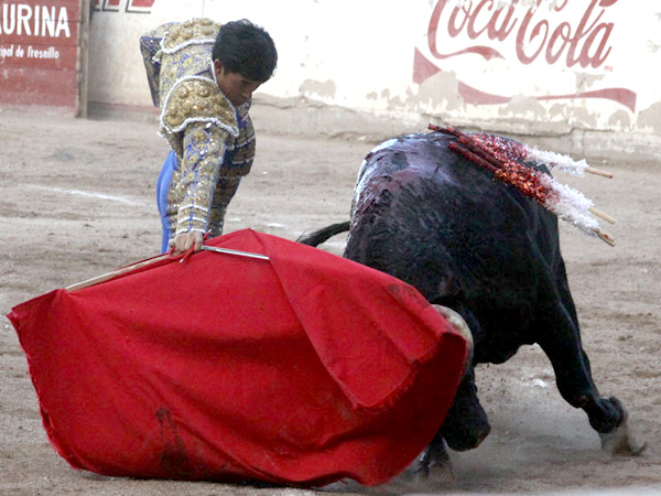 Sometiendo la embestida