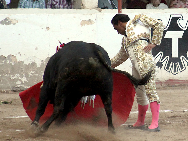 Meti�ndolo en vereda