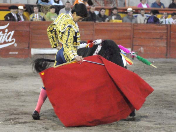 Inici� bien la faena