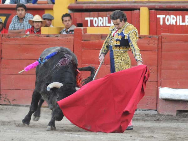 El desd�n de V�rtiz