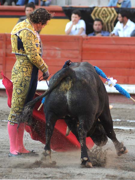 Con detalles de arte