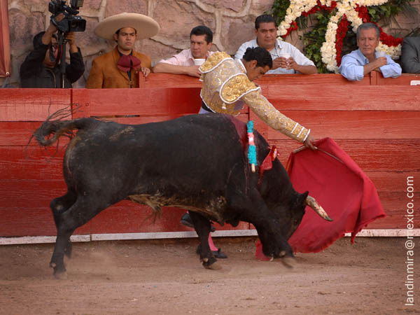 Tomado ed las tablas