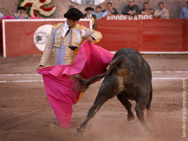 Chicuelinas de Garibay