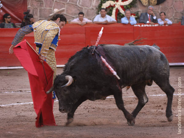 Variedad en la muleta