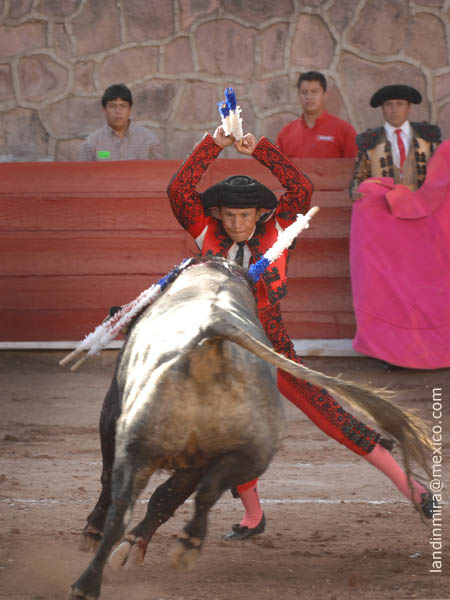 Prado, en la cara del ejemplar