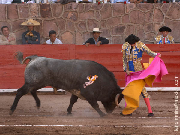Ochoa a la Ver�nica